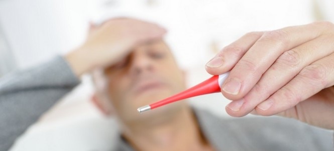 Лихорадка Ласса