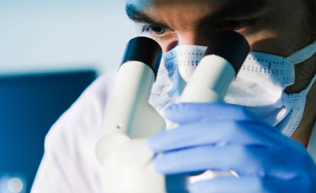 Сибирская язва