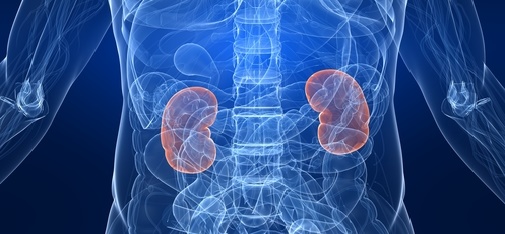 Почечная колика