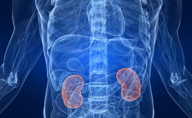 Почечная гипертензия