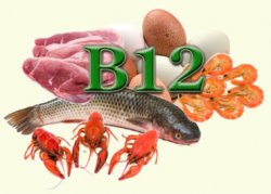 Все, что нужно знать о витамине В12
