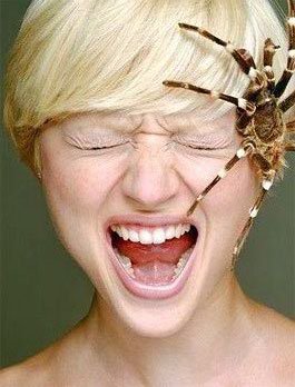 Не так страшны фобии, как их рисуют