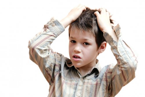 Мифы и факты о вшах