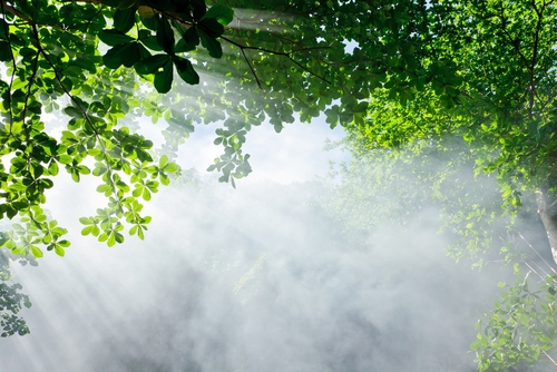 Конъюктивит: Причины, симптомы и лечение