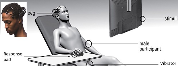 Оргазм можно «включить» магнитной стимуляцией