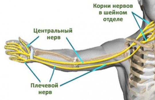 Боль в левой руке: невралгия, стенокардия, растяжение?