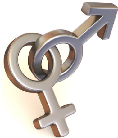 История венерических болезней