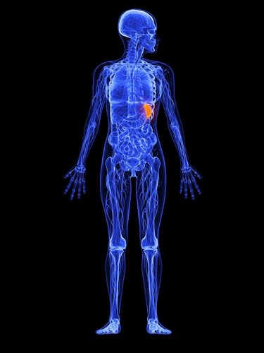 Боль в левом подреберье