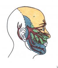 Невралгия тройничного нерва