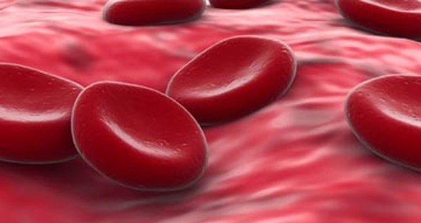 Макроглобулинемия Вальденстрема