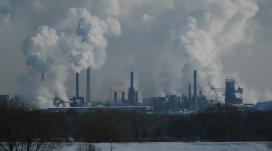 Что такое себорея и причины ее возникновения