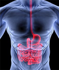 Значение ирригоскопии в диагностике заболеваний толстого кишечника