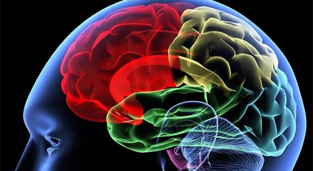 Менингококковый менингит