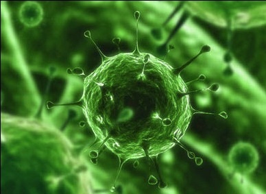 Лихорадка Ласса