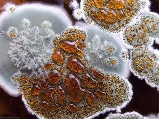 Нет - влажности и плесени!