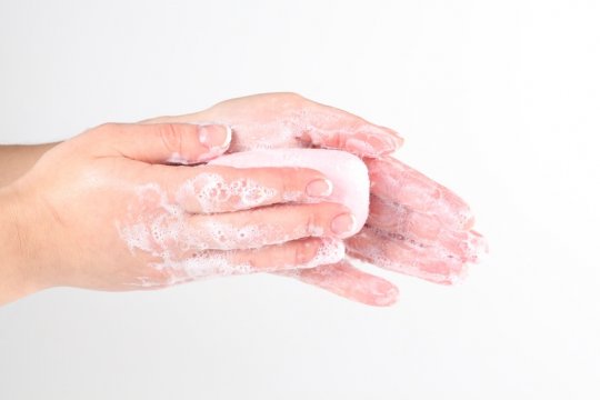 Лямблии - так ли они опасны?