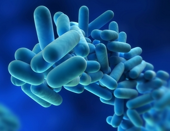 Болезнь легионеров