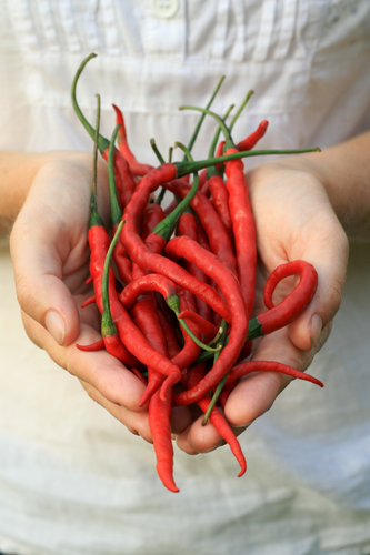 Как предупредить диарею?