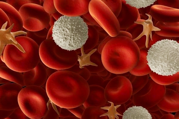 Анкилостомидоз