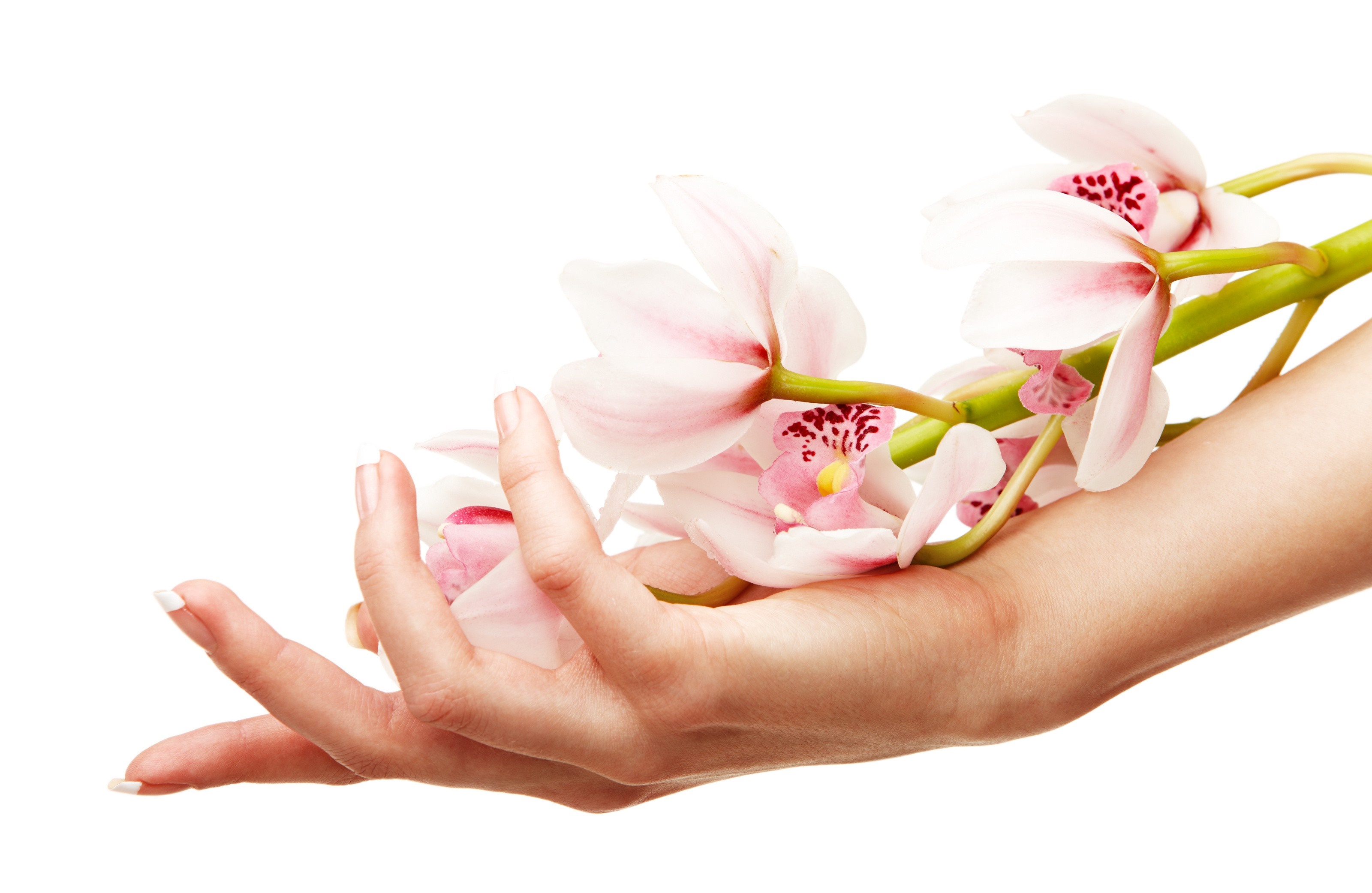 Вирусные бородавки