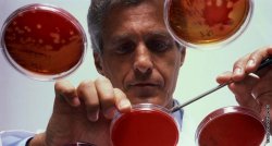 Возможные изменения в крови при химиотерапии