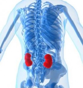 Интерстициальный нефрит