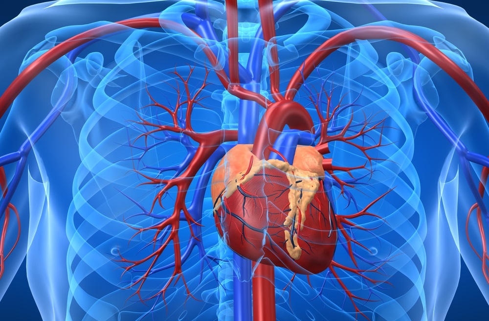 Недостаточность трехстворчатого клапана