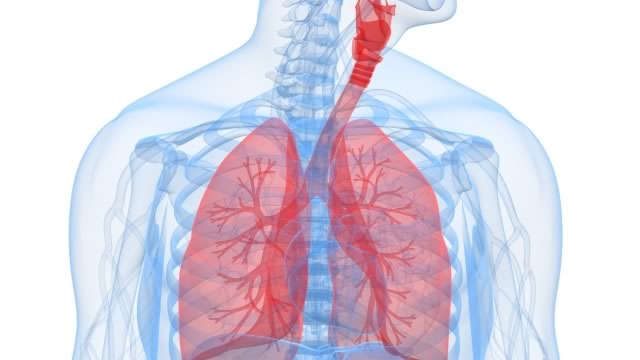 Микоплазмоз