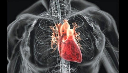 Тахикардия: современный подход к лечению