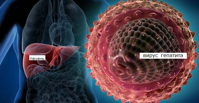 Острый вирусный гепатит