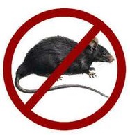 Лихорадка Ласса