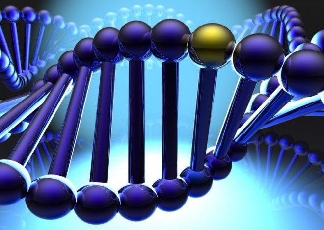 Факоматозы