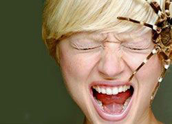 Почему женщины боятся пауков