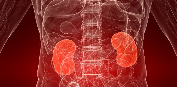 Острый гломерулонефрит