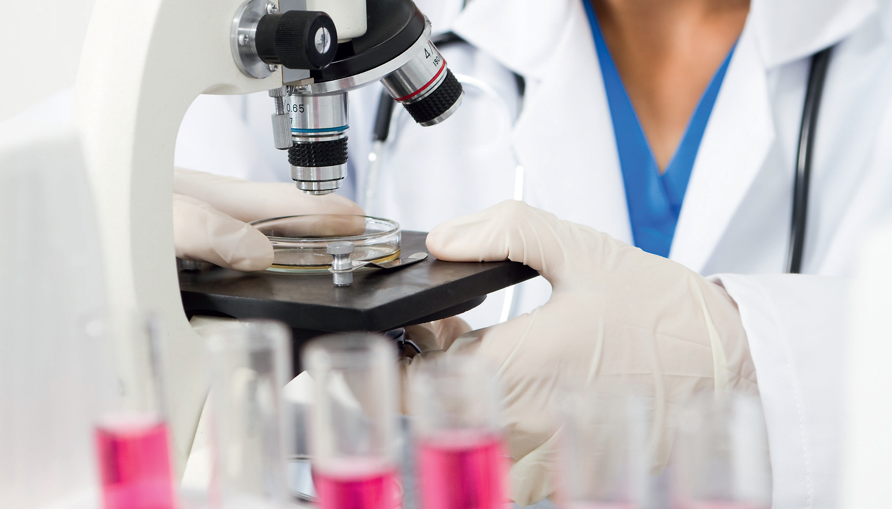 Споротрихоз