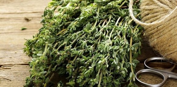 Лекарственные растения и гормональный дисбаланс: будет ли польза?