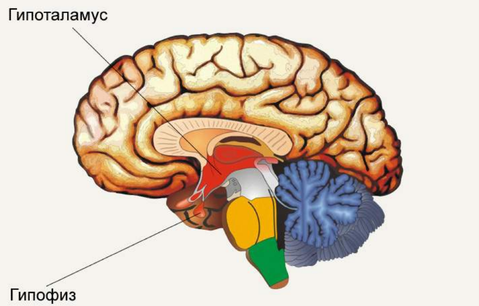 Несахарный диабет