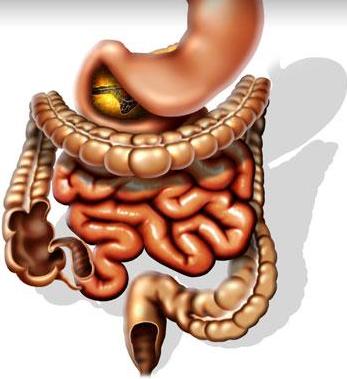 Хронический энтероколит