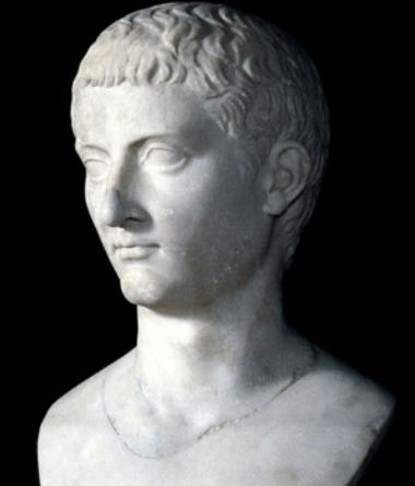 История венерических болезней